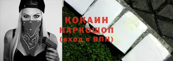 mdpv Бородино