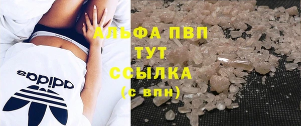 молекула духа Богородицк