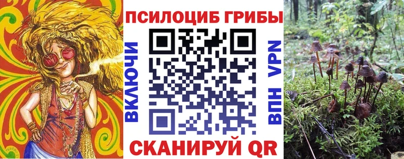 Галлюциногенные грибы Psilocybine cubensis  наркота  MEGA рабочий сайт  Вичуга 