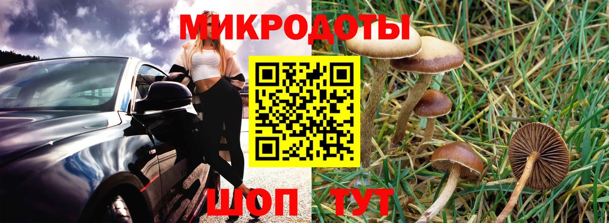 Галлюциногенные грибы Psilocybine cubensis  Псилоцибиновые грибы Psilocybe  Вичуга 