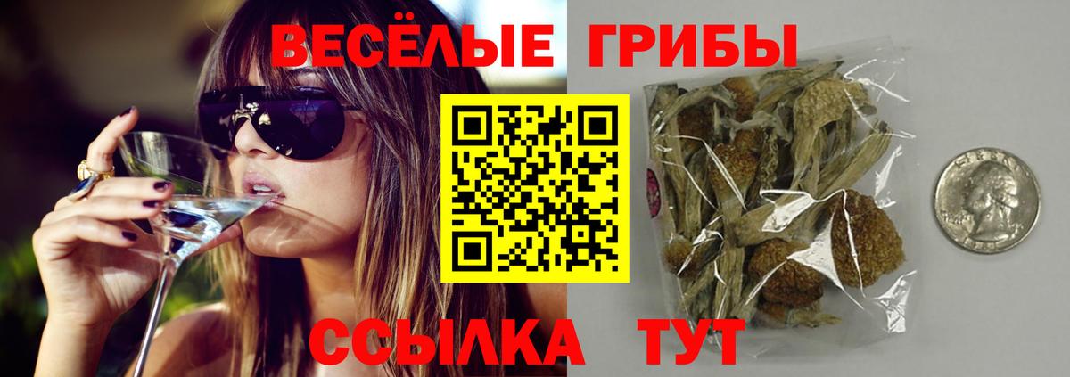 Псилоцибиновые грибы мухоморы Вичуга