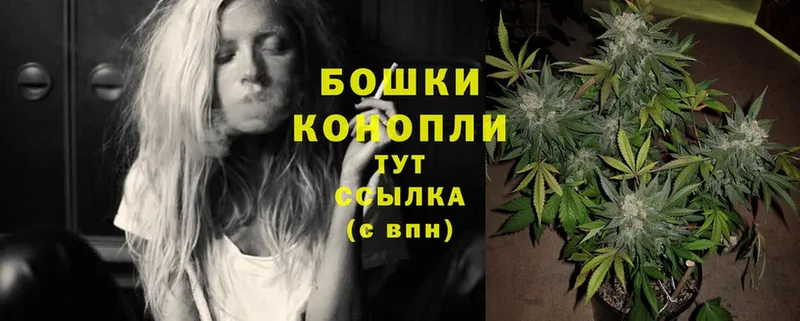 купить наркотики сайты  MEGA сайт  Каннабис Ganja  Вичуга 